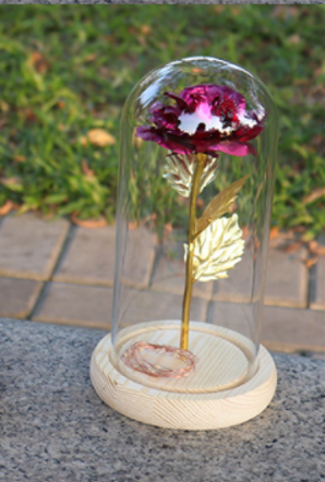 Rose Dome Glass